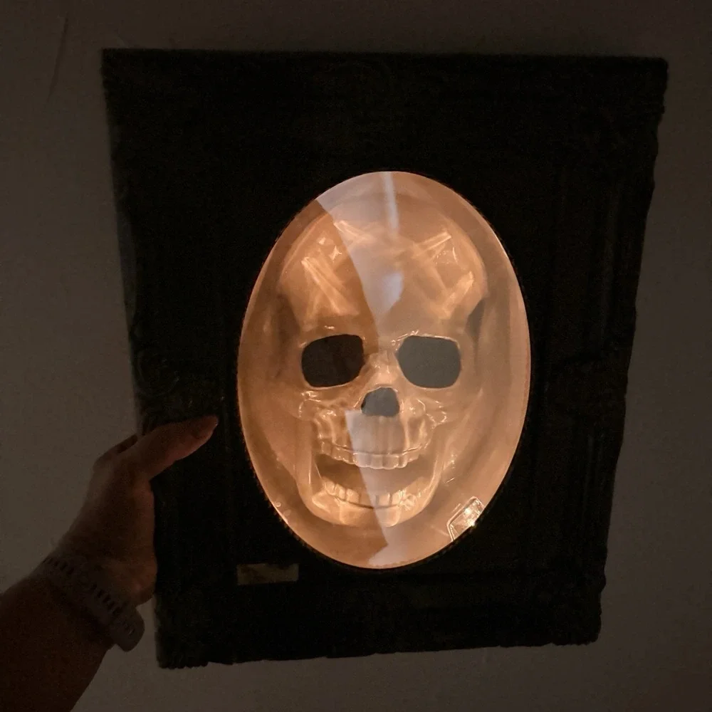 Vintage Gemmy Haunted Portrait Skull Mirror Animated Halloween Tested Working